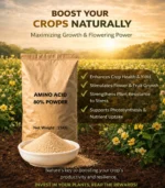 Amino acid 80% Powder - Image 3