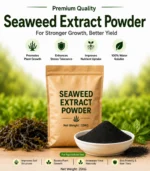 Seaweed Extract Powder - Image 2