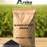Seaweed Extract Powder