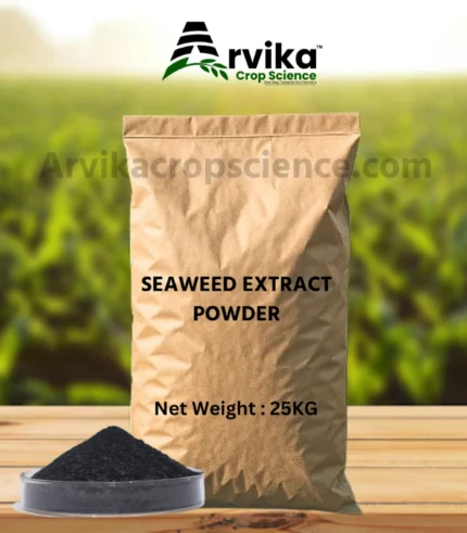 Seaweed Extract Powder