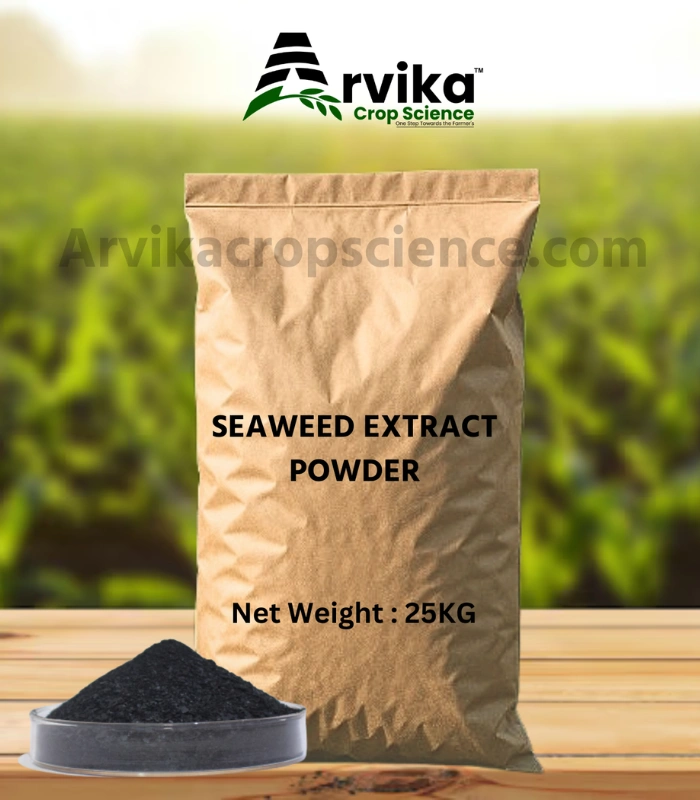 Seaweed Extract Powder
