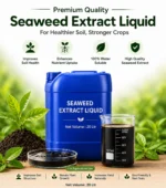 Seaweed liquid - Image 2